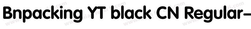 Bnpacking YT black CN Regular字体转换